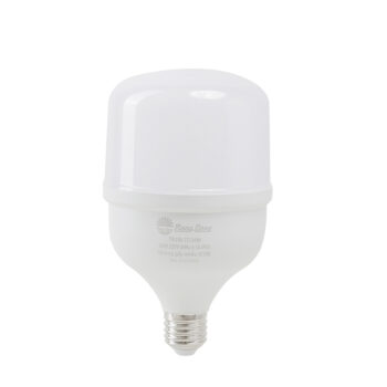Bóng đèn LED BULB chuyên dụng cho tàu cá 30W Rạng Đông NG-RD-TR100.TC/30W