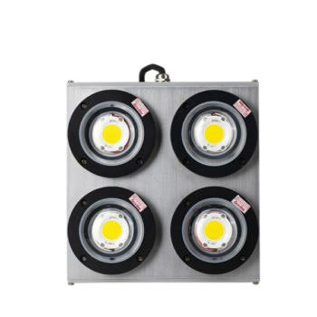 Đèn LED đánh cá COB Rạng Đông NG-RD-DC08-COB