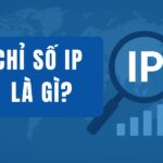 chỉ số IP